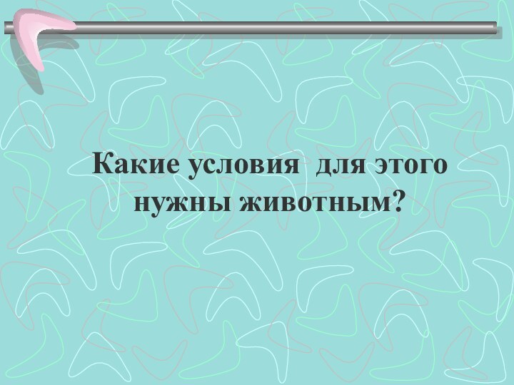 Какие условия для этого нужны животным?