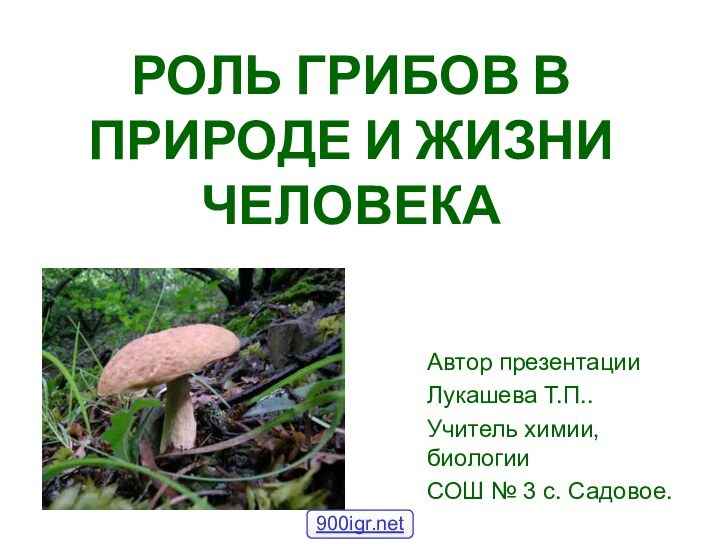 РОЛЬ ГРИБОВ В ПРИРОДЕ И ЖИЗНИ ЧЕЛОВЕКААвтор презентацииЛукашева Т.П..Учитель химии, биологииСОШ № 3 с. Садовое.