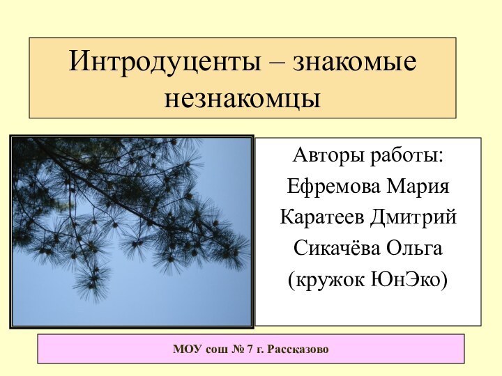 Интродуценты – знакомые незнакомцы Авторы работы:Ефремова МарияКаратеев Дмитрий Сикачёва Ольга(кружок ЮнЭко)МОУ сош № 7 г. Рассказово