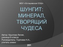 Шунгит: минерал,творящий чудеса