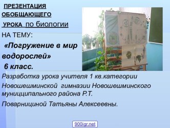 Урок Водоросли