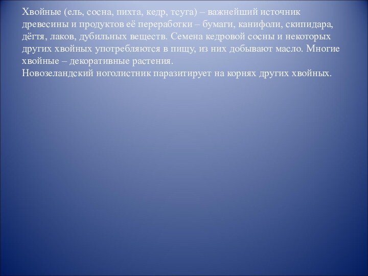 Хвойные (ель, сосна, пихта, кедр, тсуга) – важнейший источник древесины