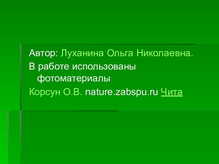 Автор: Луханина Ольга Николаевна.В работе использованы фотоматериалы Корсун О.В. nature.zabspu.ru Чита