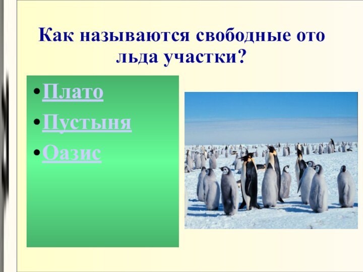 Как называются свободные ото льда участки?ПлатоПустыняОазис