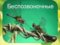 Беспозвоночные