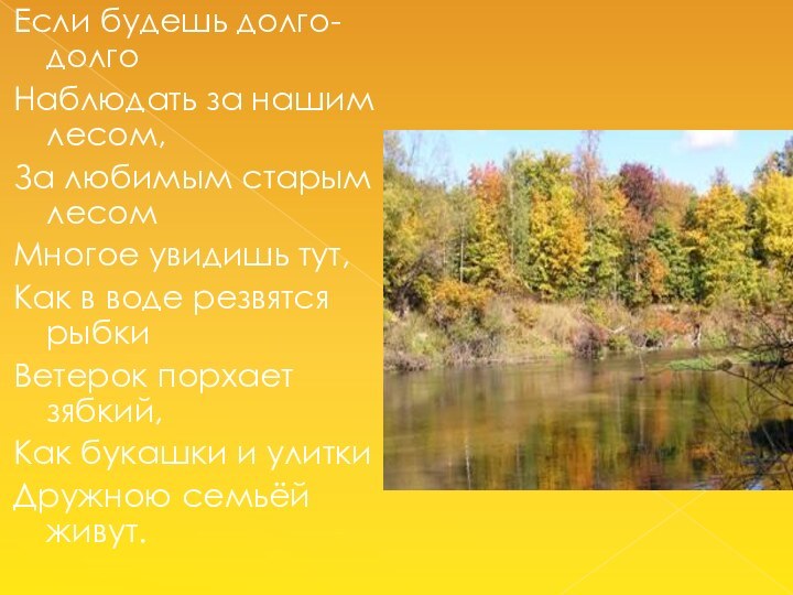 Если будешь долго-долгоНаблюдать за нашим лесом,За любимым старым лесомМногое увидишь тут, Как