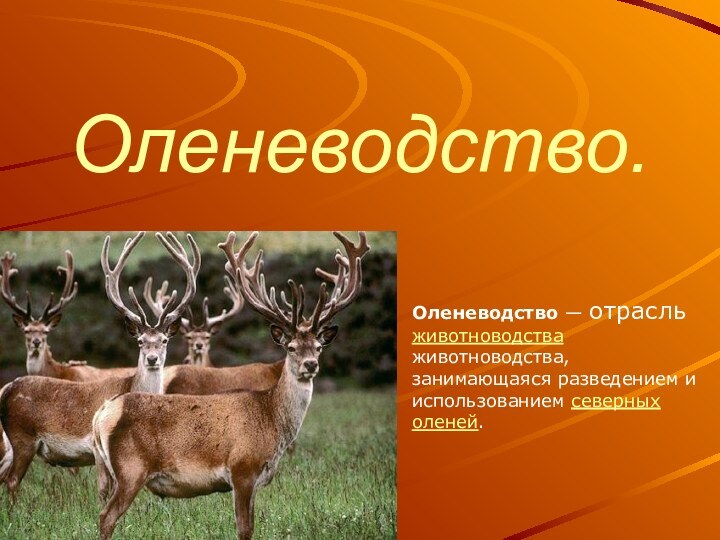 Оленеводство.Оленеводство — отрасль животноводства животноводства, занимающаяся разведением и использованием северных оленей.