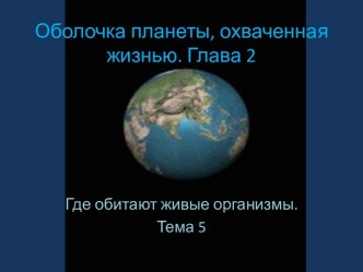 Оболочка планеты, охваченная жизнью. Где обитают живые организмы