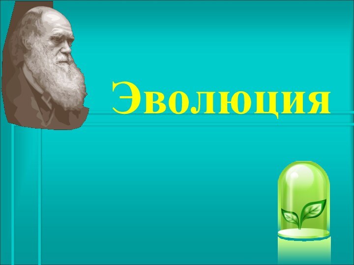 Эволюция