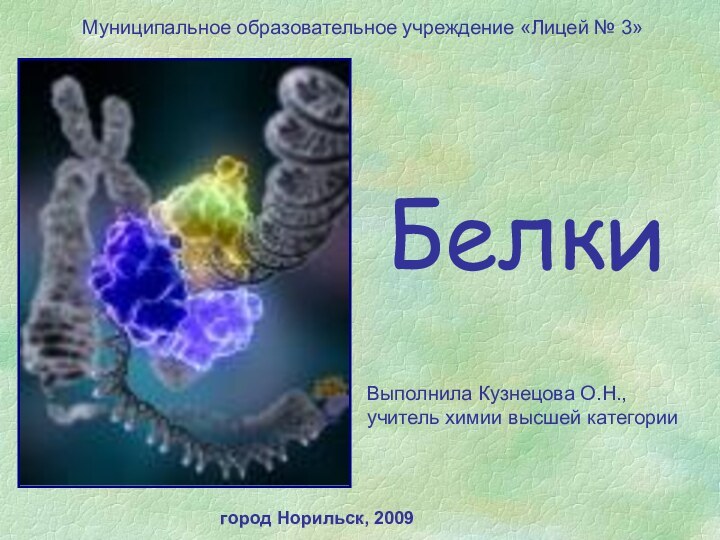 БелкиВыполнила Кузнецова О.Н., учитель химии высшей категорииМуниципальное образовательное учреждение «Лицей № 3»город Норильск, 2009