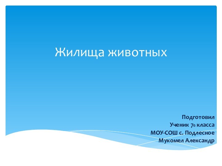 Жилища животныхПодготовилУченик 7б классаМОУ-СОШ с. ПодлесноеМукомел Александр