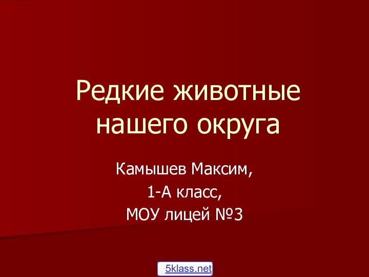 Редкие животные нашего округаКамышев Максим,1-А класс,МОУ лицей №3