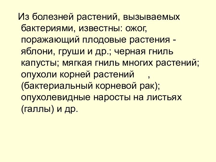 Из болезней растений, вызываемых бактериями, известны: ожог, поражающий плодовые растения -