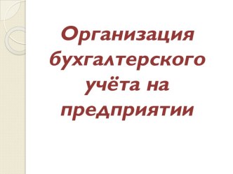 Организация бухгалтерского учёта на предприятии