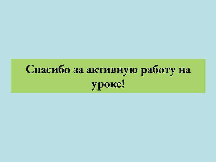 Спасибо за активную работу на уроке!