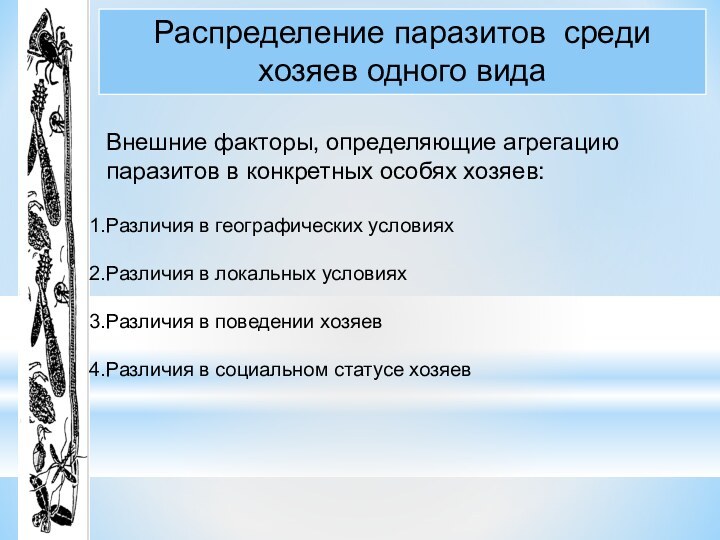 Распределение паразитов среди хозяев одного видаВнешние факторы, определяющие агрегацию паразитов в конкретных