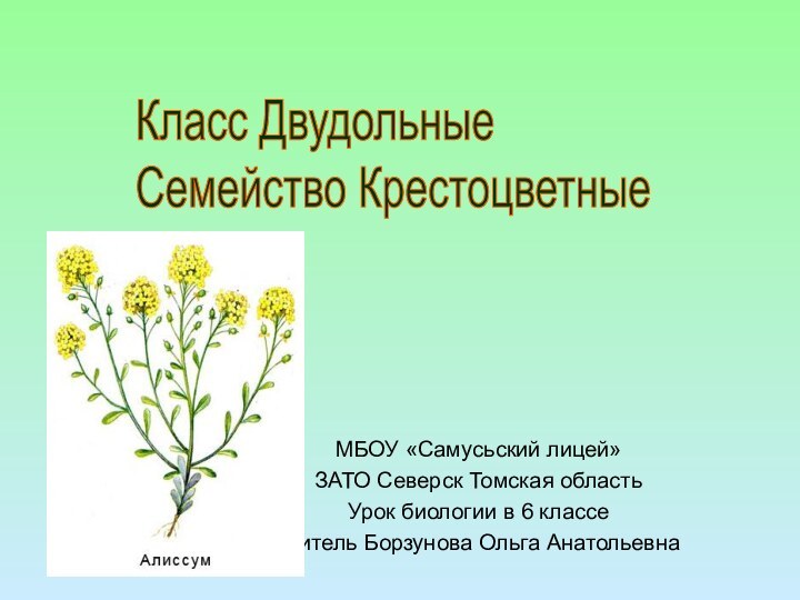 МБОУ «Самусьский лицей»ЗАТО Северск Томская областьУрок биологии в 6 классе учитель Борзунова