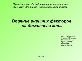 Влияние внешних факторов на домашнего кота