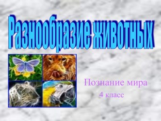 Группы диких животных