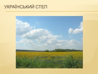 Український степ