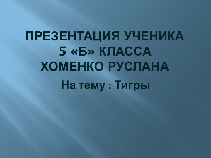 ПРЕЗЕНТАЦИЯ УЧЕНИКА 5 «Б» КЛАССА ХОМЕНКО РУСЛАНАНа тему : Тигры