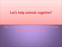Let’s help animals together!