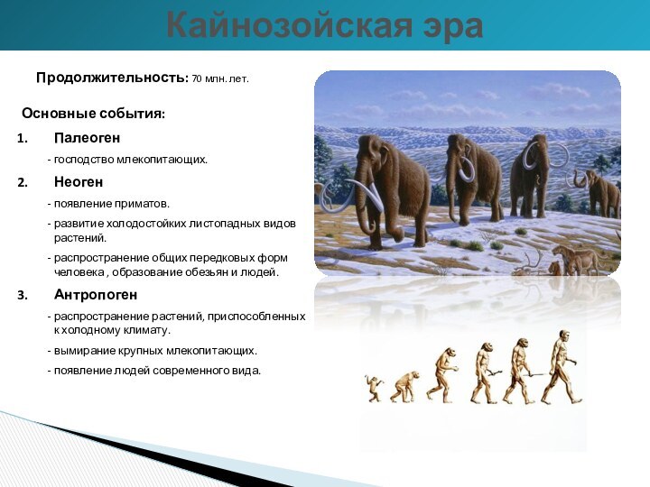 Продолжительность: 70 млн. лет.Основные события:Палеоген      - господство