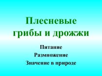 Плесневые грибы и дрожжи