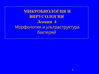 Морфология и ультраструктура бактерий