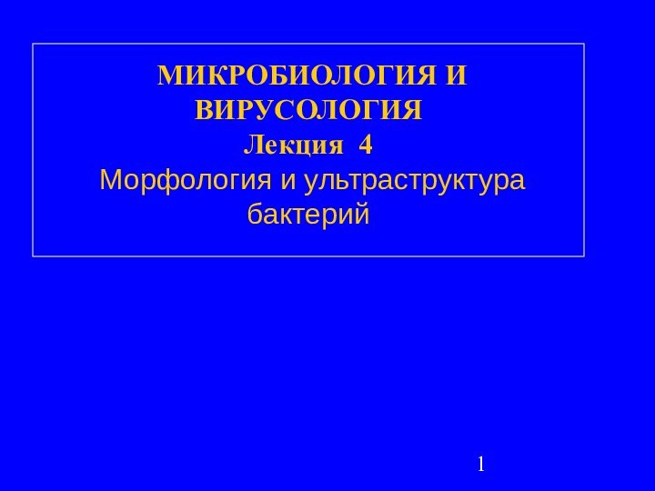 МИКРОБИОЛОГИЯ И ВИРУСОЛОГИЯ Лекция 4  Морфология и ультраструктура бактерий