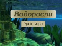 Водоросли