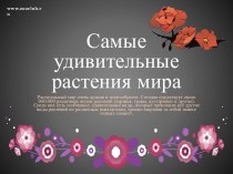 samye_udivitelnye_rasteniya_mira