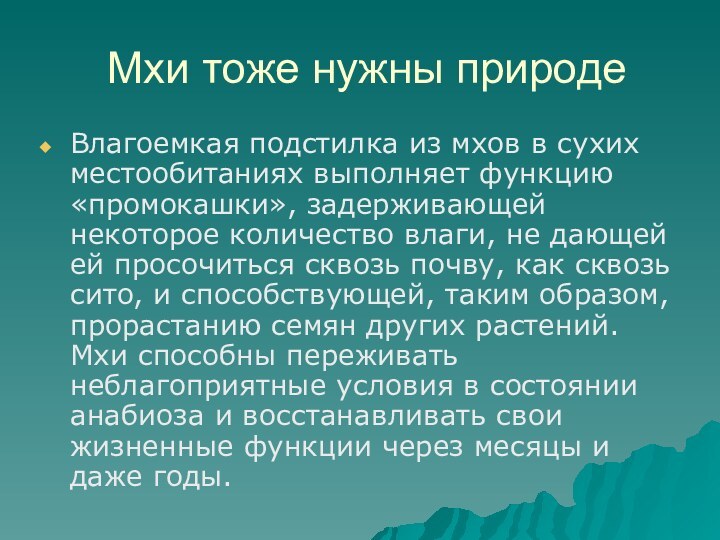 Мхи тоже нужны природеВлагоемкая подстилка из мхов в сухих местообитаниях выполняет функцию