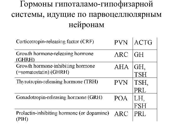 Гормоны гипоталамо-гипофизарной системы, идущие по парвоцеллюлярным нейронам