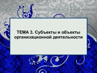 Субъекты и объекты организационной деятельности