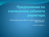 Предложение по озеленению кабинета директора