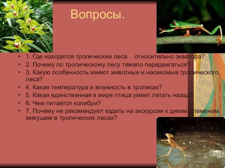 Вопросы.1. Где находятся тропические леса  относительно экватора?2. Почему по тропическому лесу