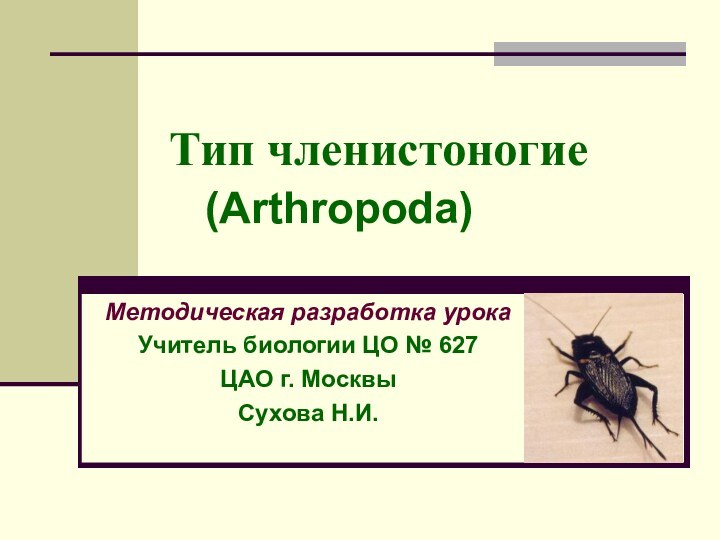 Тип членистоногие 	(Arthropoda)Методическая разработка урокаУчитель биологии ЦО № 627ЦАО г. МосквыСухова Н.И.