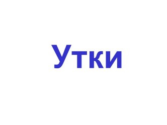 Птицы - утки