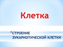 Клетка Строение эукариотической клетки