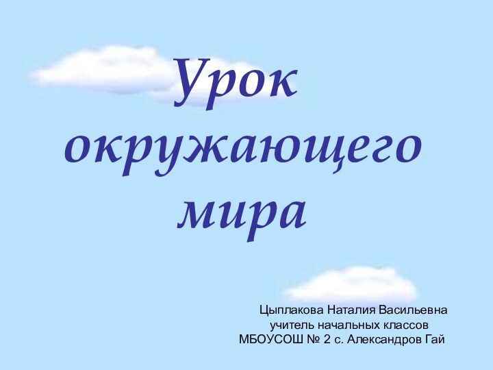 Урок окружающего мира   Цыплакова Наталия Васильевна