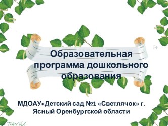 Образовательная программа дошкольного образования