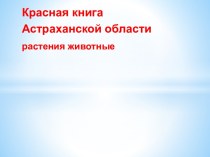 Красная книга   Астраханской области  растения животные