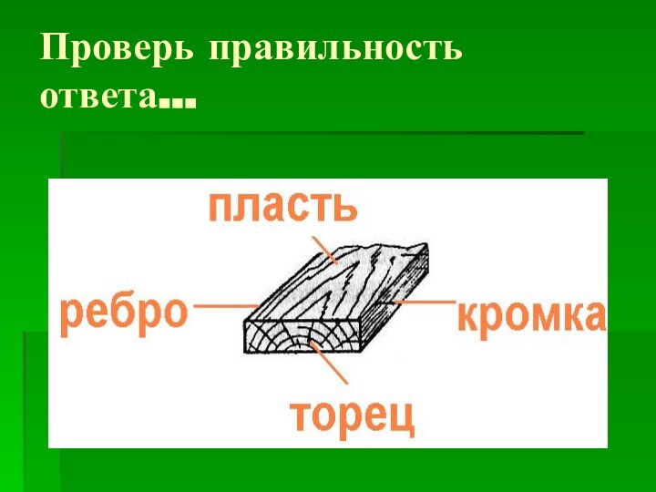 Проверь правильность ответа…