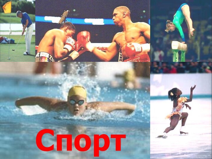 Спорт