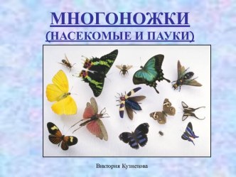 Многоножки