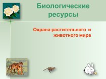 Биологические ресурсы. Охрана растительного и животного мира