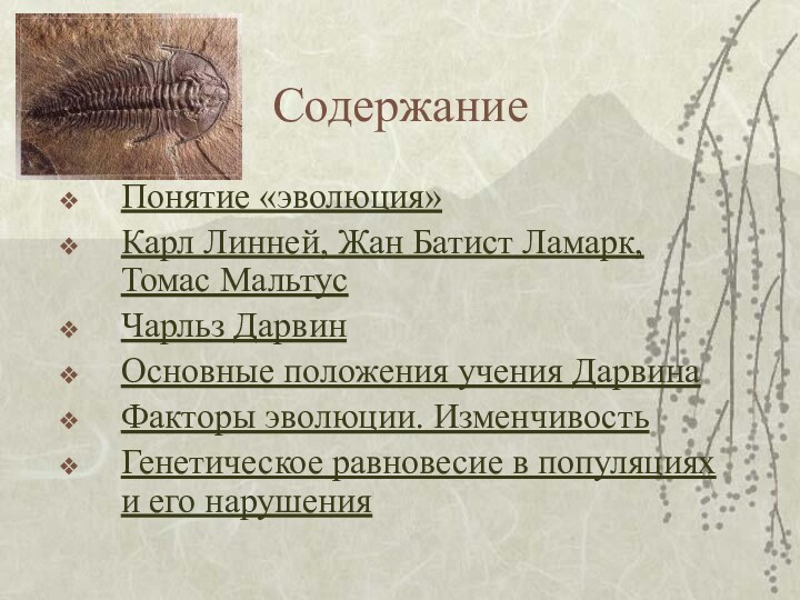 СодержаниеПонятие «эволюция»Карл Линней, Жан Батист Ламарк, Томас МальтусЧарльз ДарвинОсновные положения учения ДарвинаФакторы