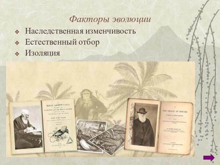 Факторы эволюцииНаследственная изменчивостьЕстественный отборИзоляция