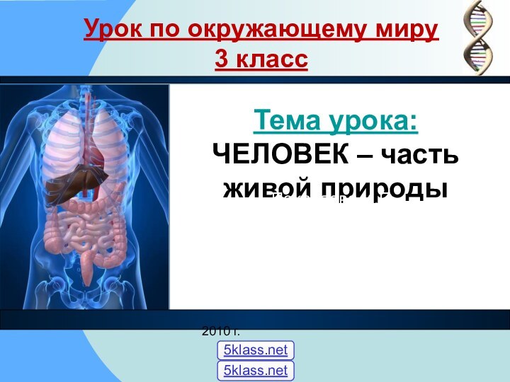 Урок по окружающему миру 3 классТема урока:  ЧЕЛОВЕК – часть живой природыПокаляева И.П. 2010 г.